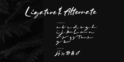 Rastelina Font Poster 12