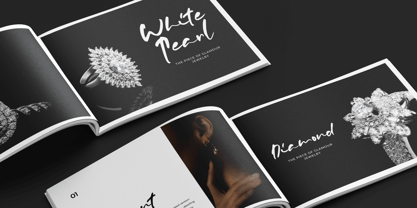 Rastelina Font Poster 8