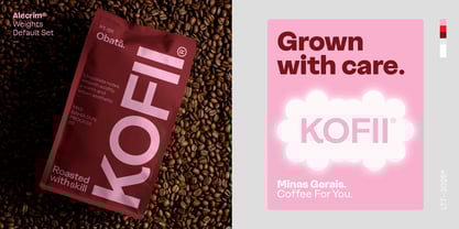 Alecrim Font Poster 8