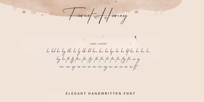 Forest Honey Font Poster 12