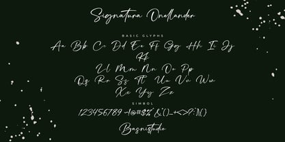 Signatura Onellander Font Poster 11