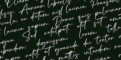 Signatura Onellander Font Poster 6