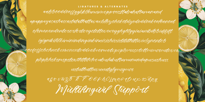Mindful Angelic Font Poster 15