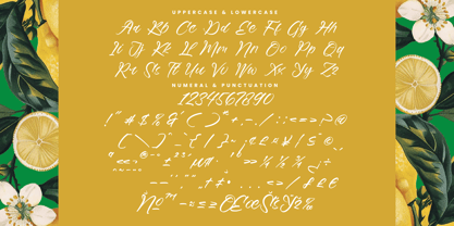 Mindful Angelic Font Poster 14