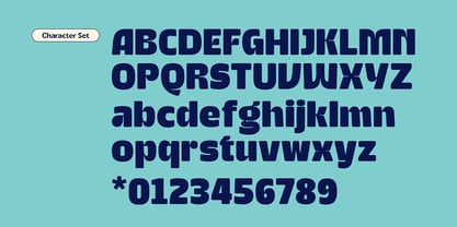 Ralton Black Font Poster 3