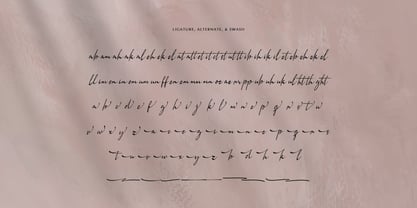 Dohemika Font Poster 12