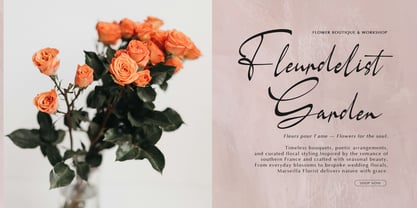 Dohemika Font Poster 2