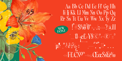 Silent Gingers Font Poster 14