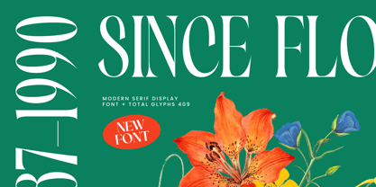 Silent Gingers Font Poster 3