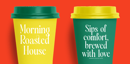 Silent Gingers Font Poster 2