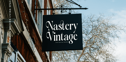 Silent Gingers Font Poster 13