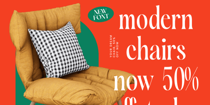 Silent Gingers Font Poster 7