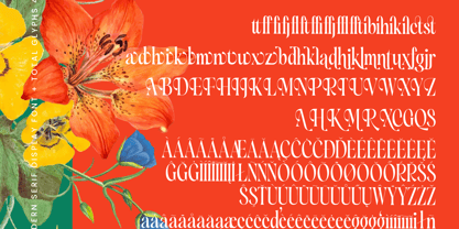 Silent Gingers Font Poster 15