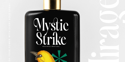 Silent Gingers Font Poster 8