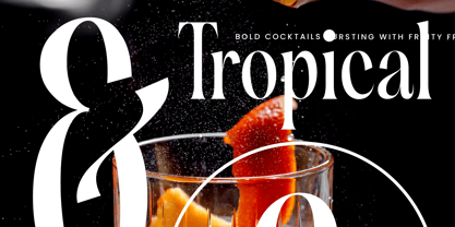 Silent Gingers Font Poster 9