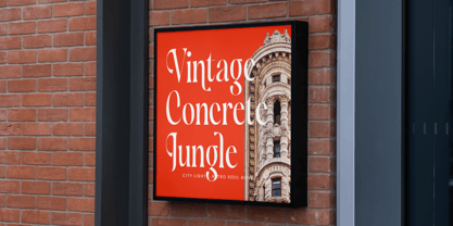 Silent Gingers Font Poster 4