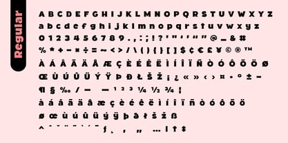 Fox Potion Font Poster 9