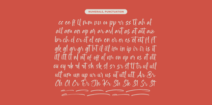 Erottage Jhitaleon Font Poster 14