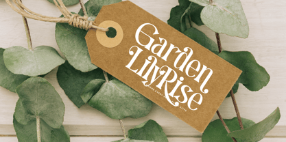 Mequnch Font Poster 10