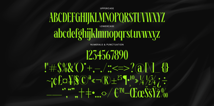 Ehkofa Font Poster 14