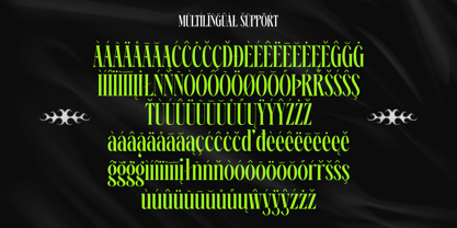 Ehkofa Font Poster 9