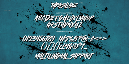 Thrashlane Font Poster 9
