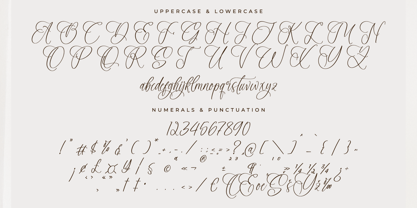 Adofellins Barlinestya Font Poster 7