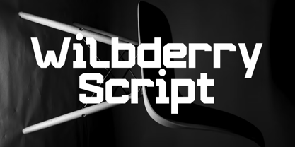 Frontally Font Poster 13