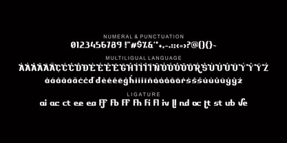 Realliv Font Poster 5