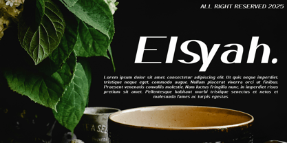 Elsyah Font Poster 4