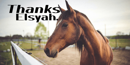 Elsyah Font Poster 9