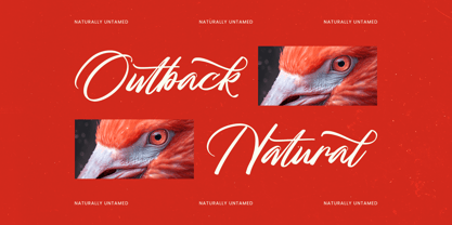 Mhantik Studyla Font Poster 2