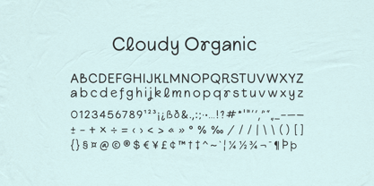 Cloudy Organic Font Poster 9