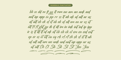 Brighten Shootters Font Poster 15