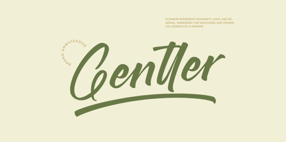 Brighten Shootters Font Poster 4