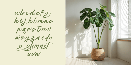 Brighten Shootters Font Poster 10