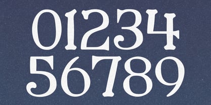 Merchant Ledger Font Poster 3