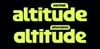 403 FEST Font Poster 7