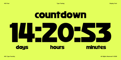 403 FEST Font Poster 5