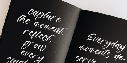 Goldens Blush Font Poster 6