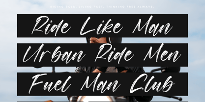 Goldens Blush Font Poster 4