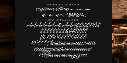 Goldens Blush Font Poster 14