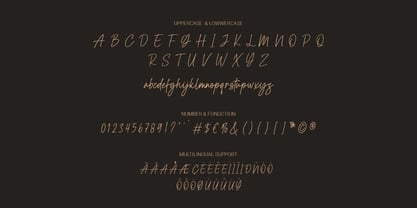 Arsana Citra Font Poster 11