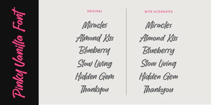 Pinky Vanilla Font Poster 10