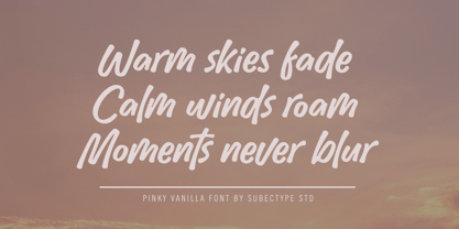 Pinky Vanilla Font Poster 2