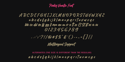 Pinky Vanilla Font Poster 9