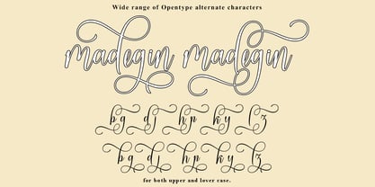 Beautiful Pirates Font Poster 6