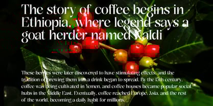 DKS Blizter Font Poster 7