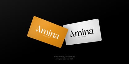 DKS Blizter Font Poster 3