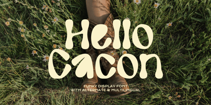 Hello Cacon Font Poster 1